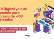Kit Digital para empresas de más de 50 empleados.